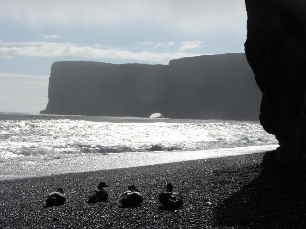 ISLANDIA - tam gdzie natura gra pierwsze skrzypce.