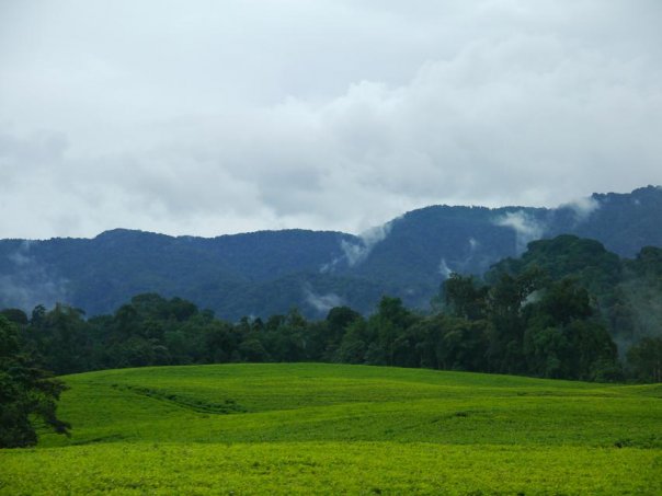 Rwanda- kraina tysiąca wzgórz