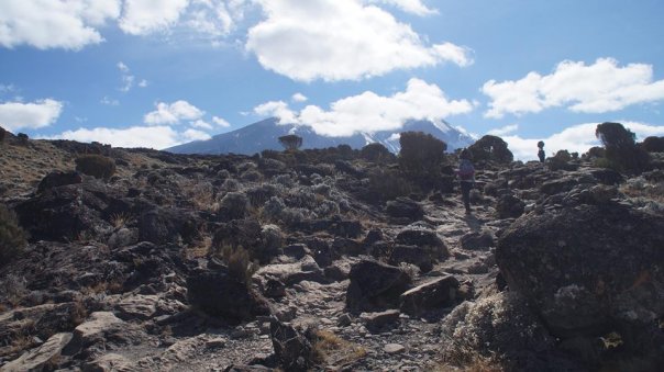 Kilimandżaro - góra kawy i bananów