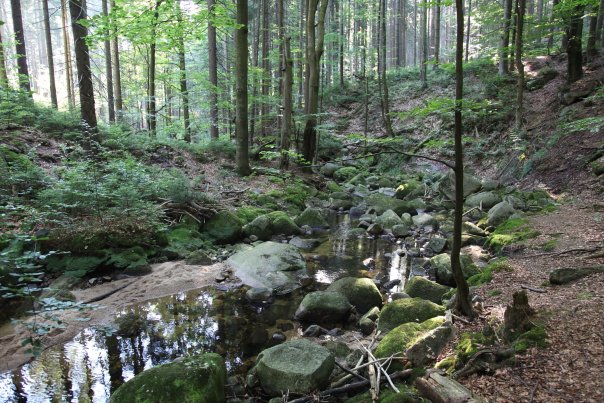 Karkonosze. Mityczna kraina Ducha Gór