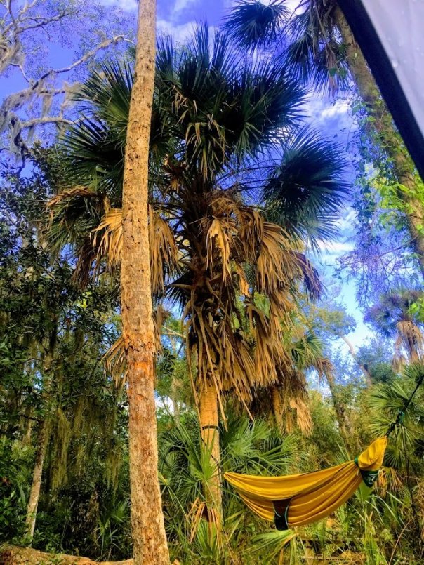Floryda z namiotem.