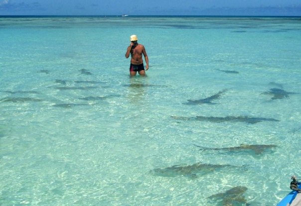 Moje wyspy: Komory, Bijagos, Aldabra